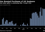 外媒：美国大选以来，中国继续购买美国大豆