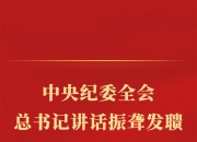 第一观察丨中央纪委全会，总书记讲话振聋发聩