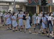 马交配的奥秘：探索自然中的神奇繁衍之旅