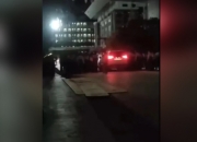 美国丽人——一部揭示中年危机与梦想的经典之作