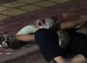 特别好看：你值得拥有的颜值神器！