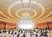 探索狗刨：一项全民皆宜的健康运动