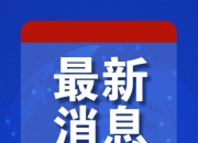 梅德韦杰夫：“急切期待俄罗斯礼炮鸣放”