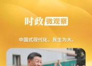 时政微观察丨民生无小事，枝叶总关情