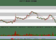 雅戈尔：2024年前三季度净利润25.12亿元 同比下降6.73%